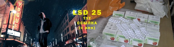 ГАЛЛЮЦИНОГЕННЫЕ ГРИБЫ Алзамай